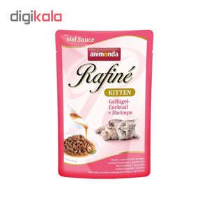 غذای پوچ گربه انیموندا مدل Kitten وزن 100 گرم