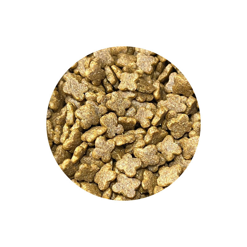 غذای خشک سگ شهرپت مدل Royal Canin Mini Adult وزن 500 گرم